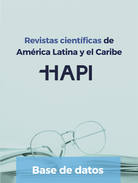 Ir a base de datos Hapi